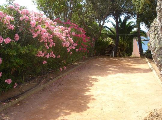 photo annonce 124