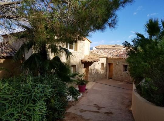photo annonce 310