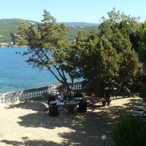 photo annonce 549