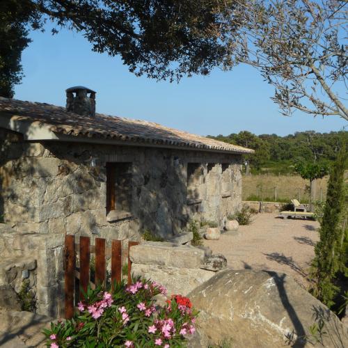 photo annonce 564