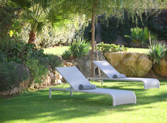 photo annonce 599