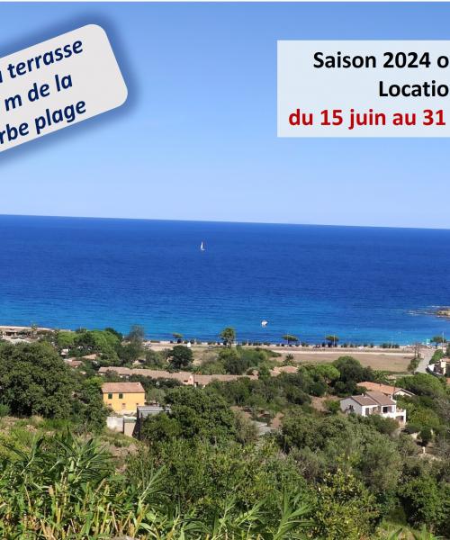photo annonce 901